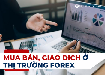Chúng ta mua bán, giao dịch gì ở thị trường forex?