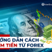 Hướng dẫn cách Kiếm Tiền Từ Forex chi tiết nhất