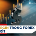 Margin trong Forex là gì? Cách tính và sử dụng Margin trong Forex