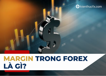 Margin trong Forex là gì? Cách tính và sử dụng Margin trong Forex