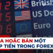 Khi nào nên mua hoặc bán một cặp tiền trong Forex?