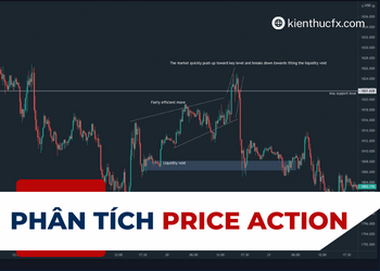 Phân Tích Price Action là gì? Tìm hiểu về phân tích Price Action