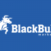 Blackbull Markets Review | Đánh giá sàn Blackbull Markets chi tiết nhất
