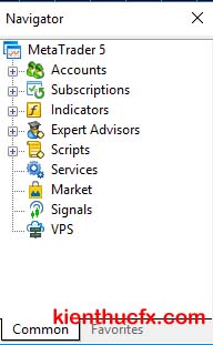 Hướng dẫn sử dụng MT5