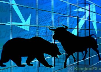 Bull vs Bear Market