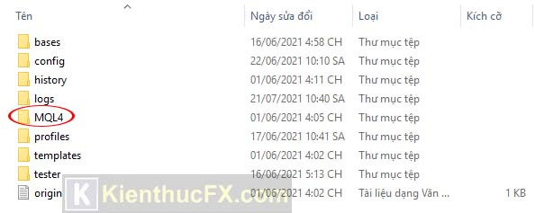 Cách cài đặt EA trên MT4