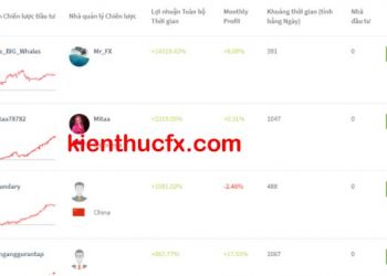 Hướng dẫn copy trade tại FXTM