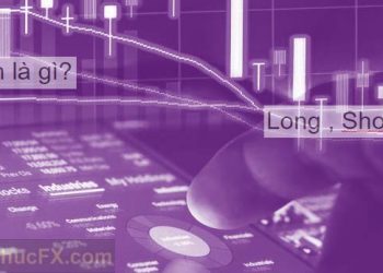 Long, Short Position là gì?