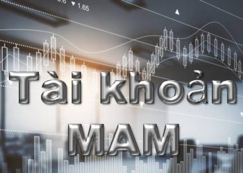tài khoản MAM