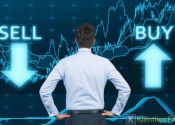 Tín hiệu giao dịch forex