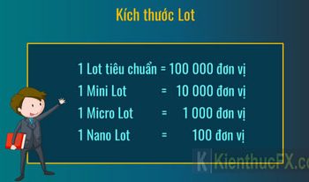 Lot là gì? Tìm hiểu về kích thước lot