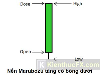 Nến Marubozu là gì?