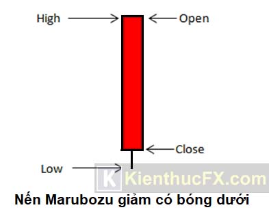 Nến Marubozu là gì?