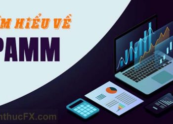 PAMM là gì?