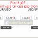 Pip là gì? Cách tính giá trị pip trong forex