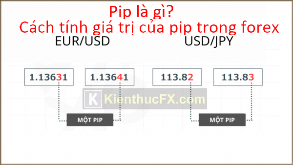 Pip là gì? Cách tính giá trị pip trong forex