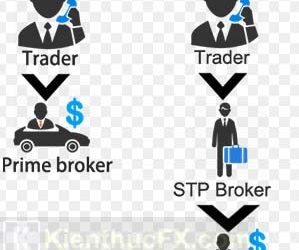 So sánh STP với Market Maker